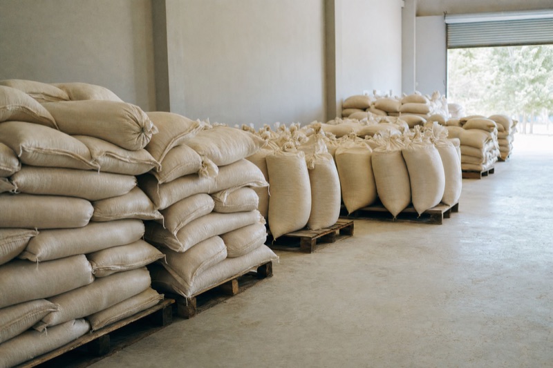 Woven sacks of grain stacked on wooden pallets in a clean, daylit grain warehouse